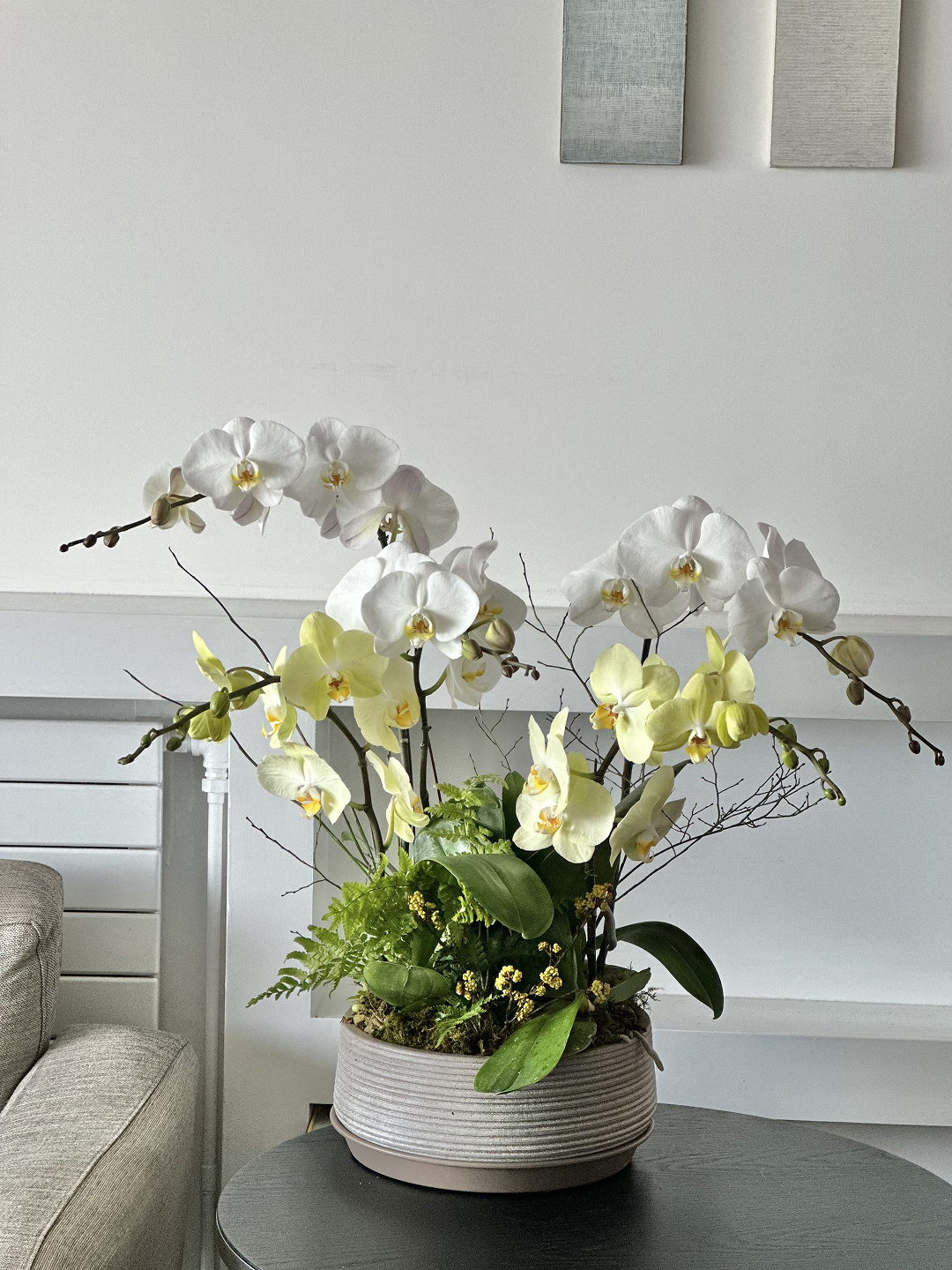 Seasonal Orchid (L)