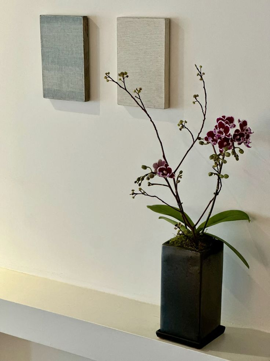 l 사이즈 제품 이미지 1