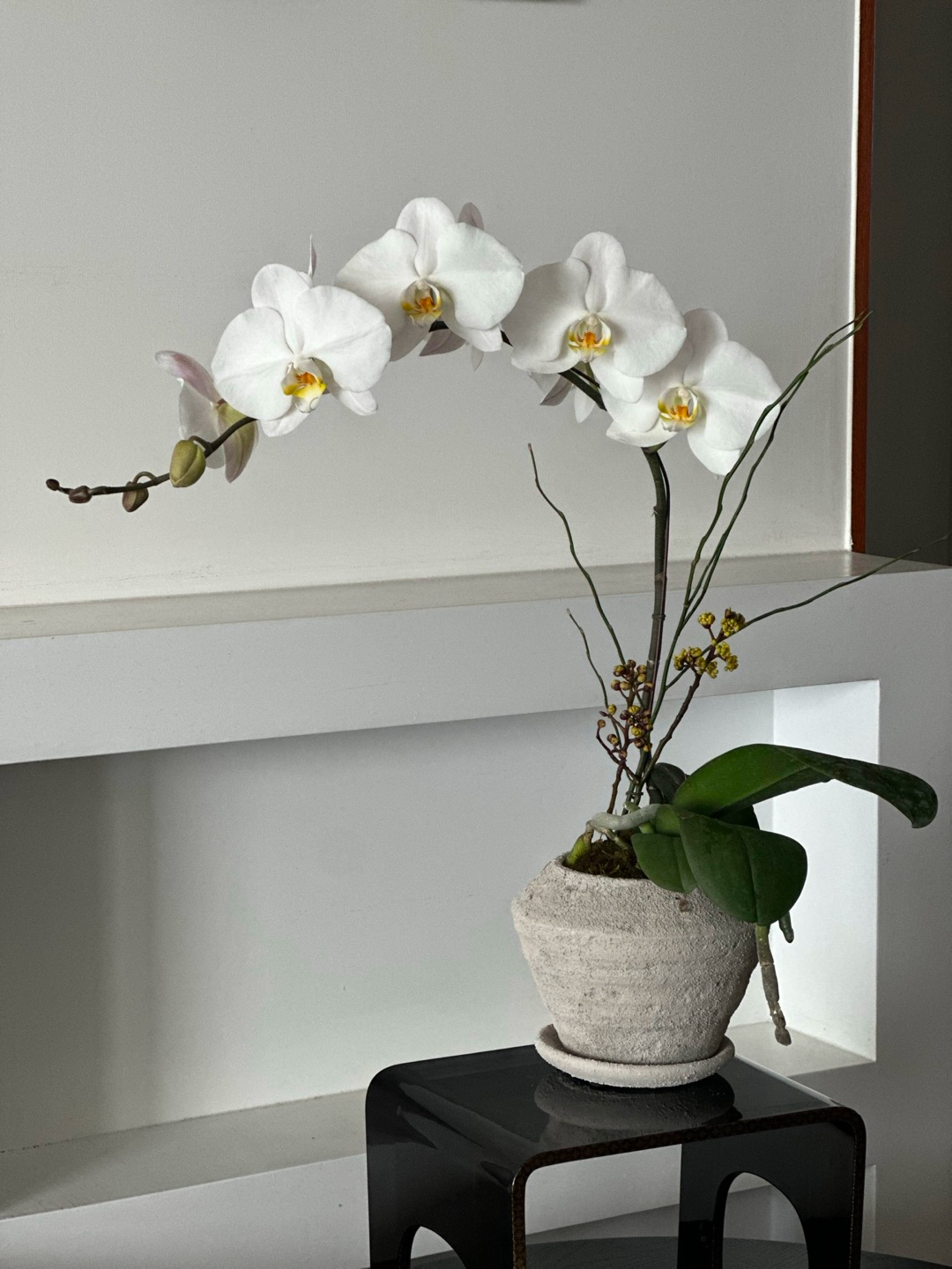 l 사이즈 제품 이미지 4