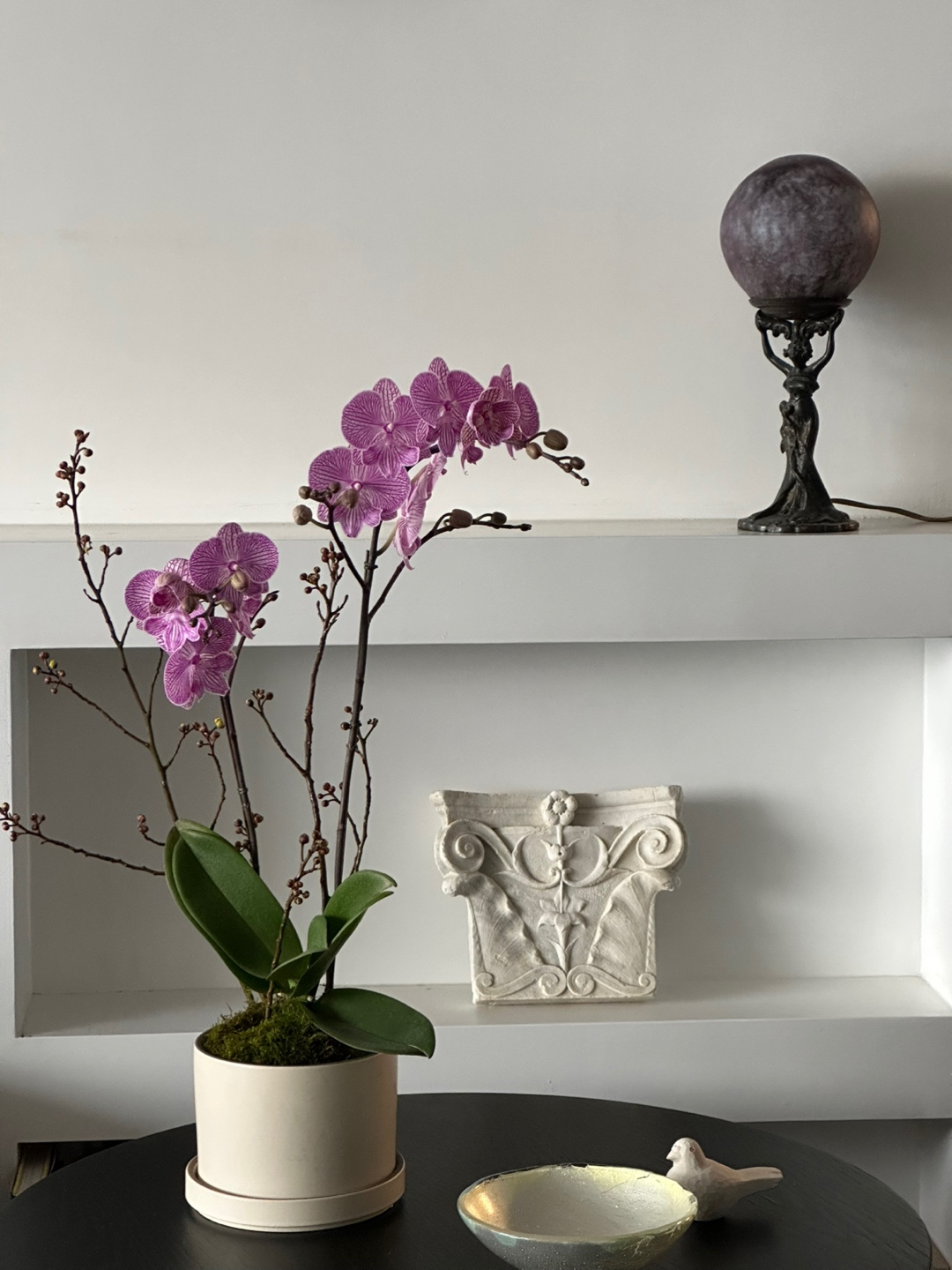 l 사이즈 제품 이미지 6