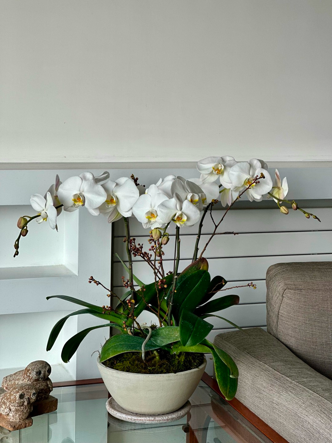 l 사이즈 제품 이미지 1