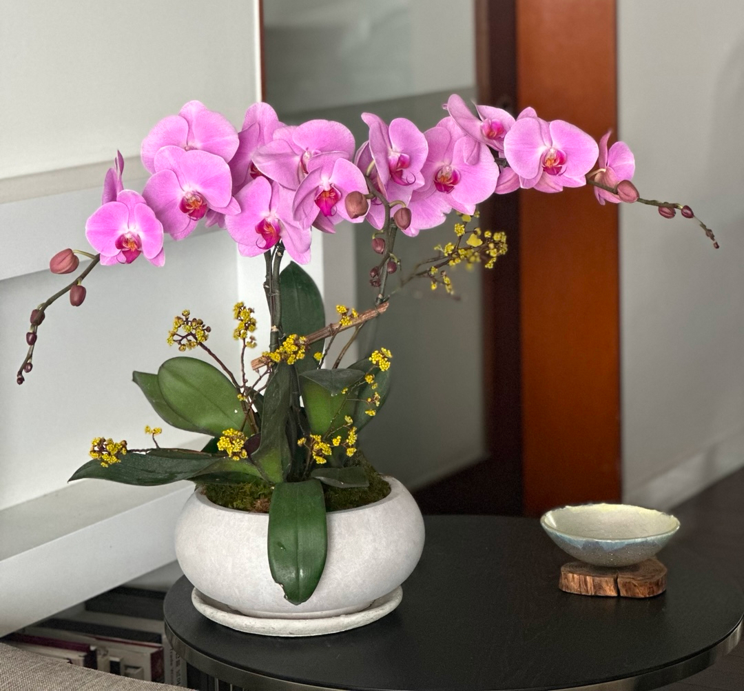 l 사이즈 제품 이미지 2