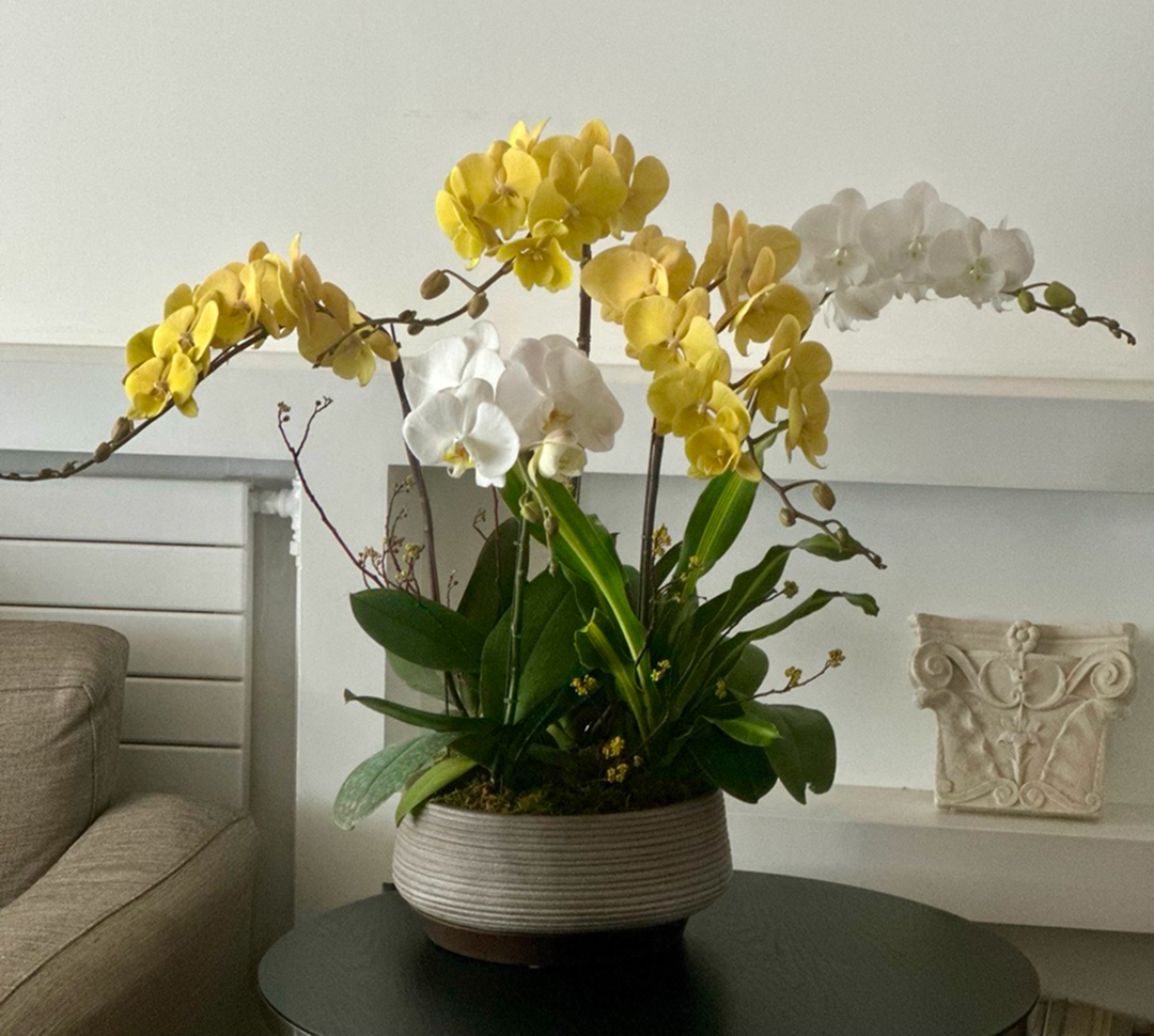 l 사이즈 제품 이미지 2