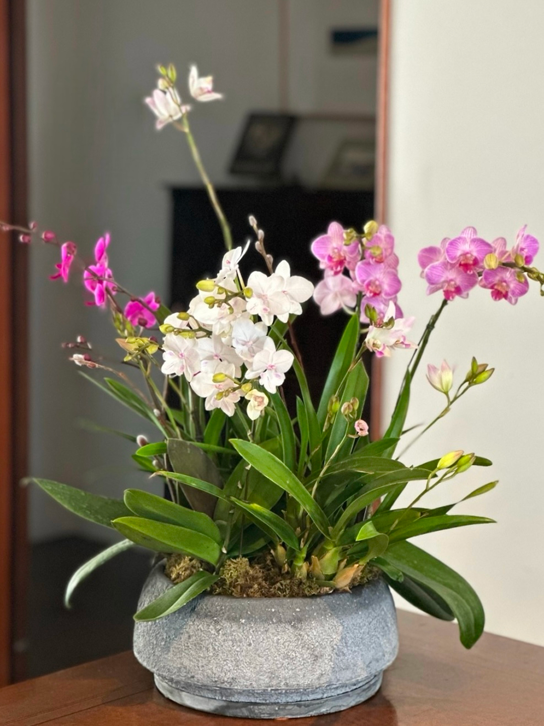 l 사이즈 제품 이미지 4