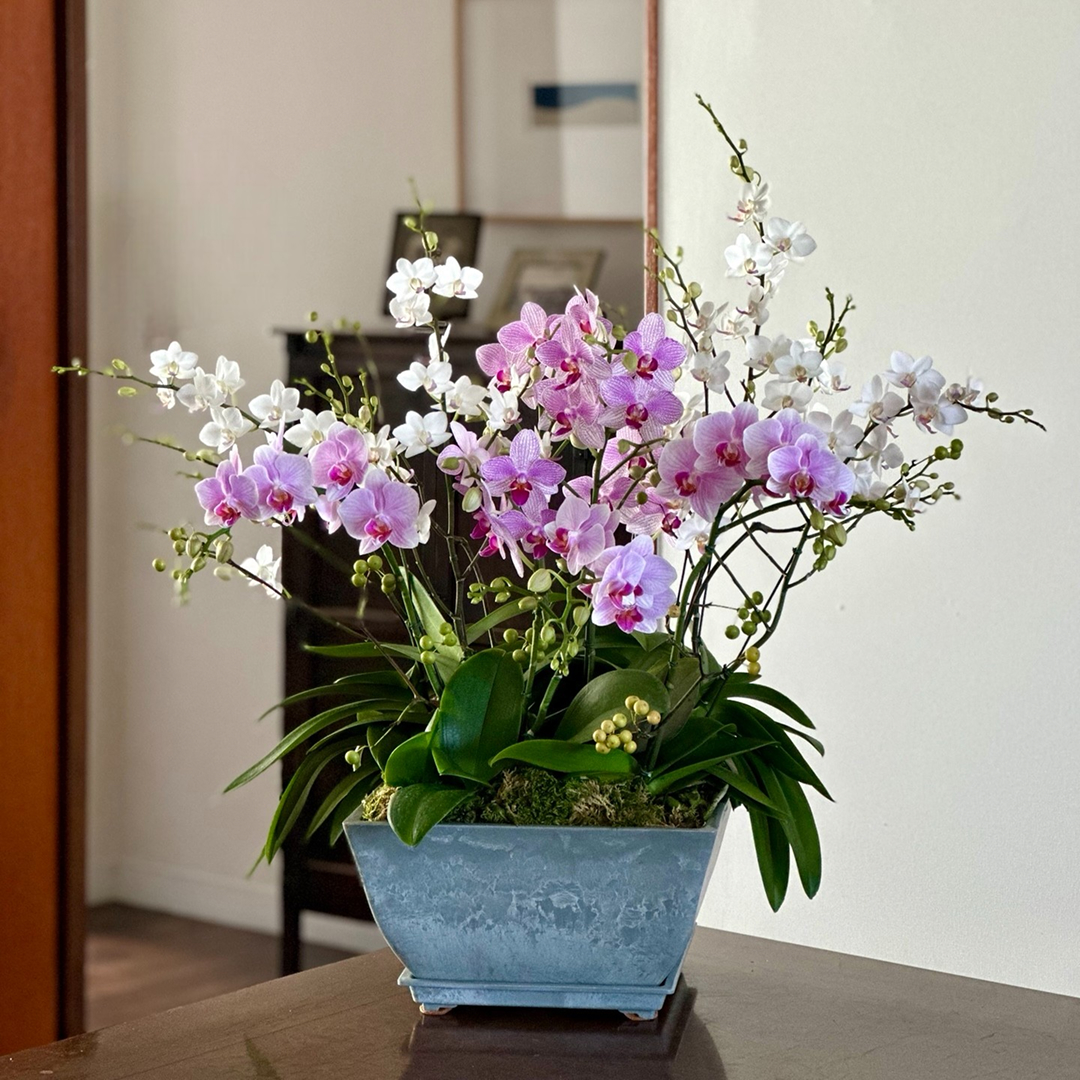 l 사이즈 제품 이미지 2