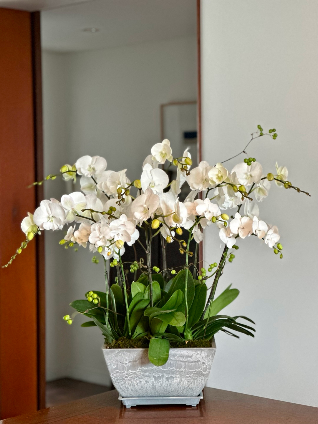 l 사이즈 제품 이미지 5