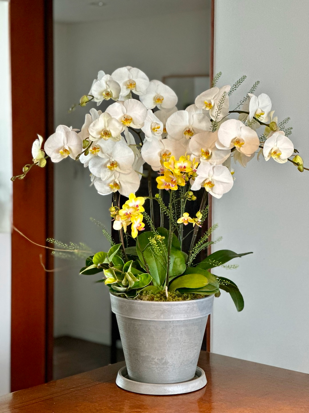 l 사이즈 제품 이미지 12