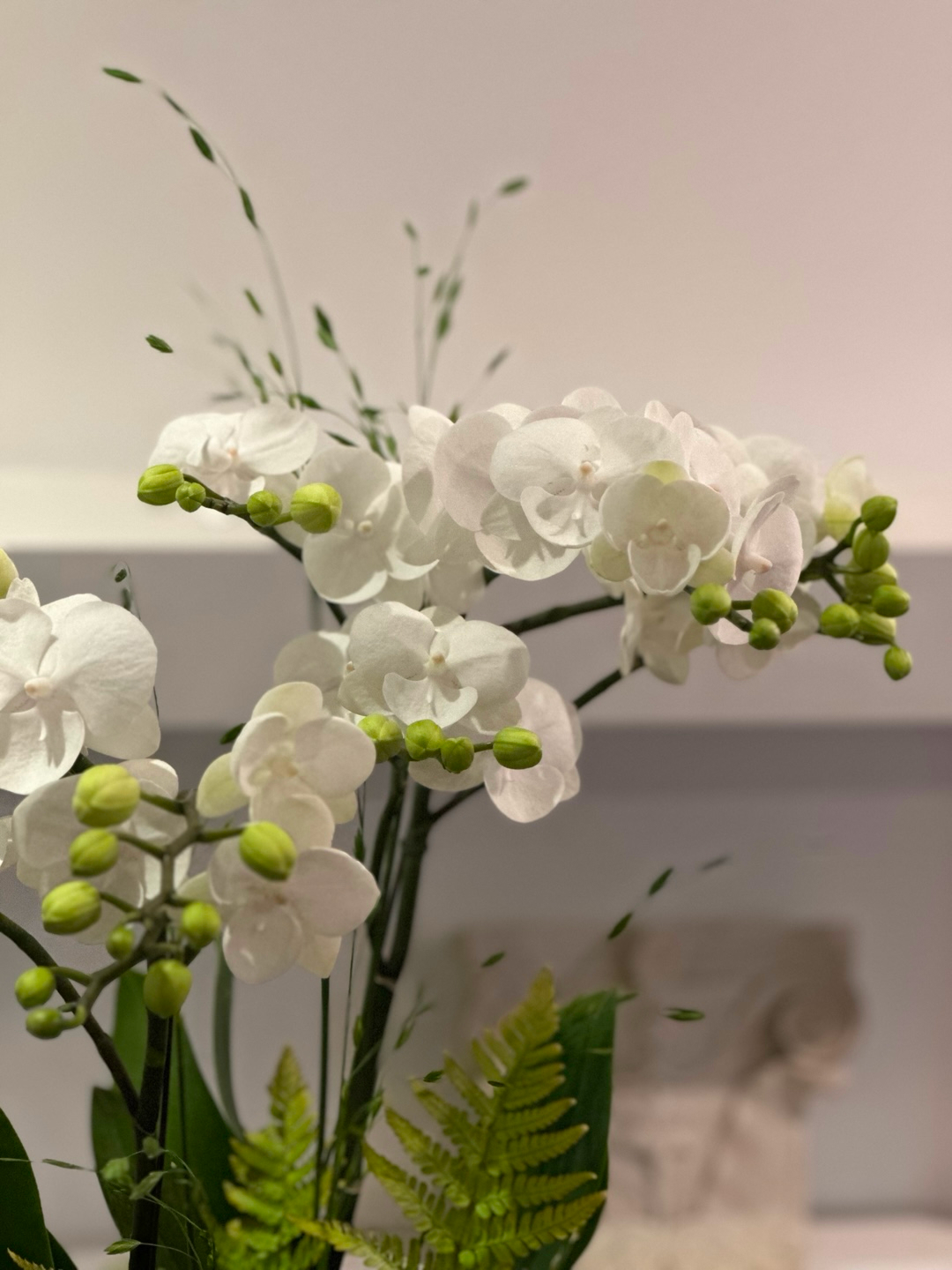 l 사이즈 제품 이미지 3