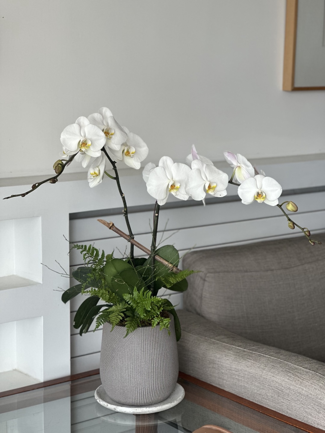 l 사이즈 제품 이미지 6