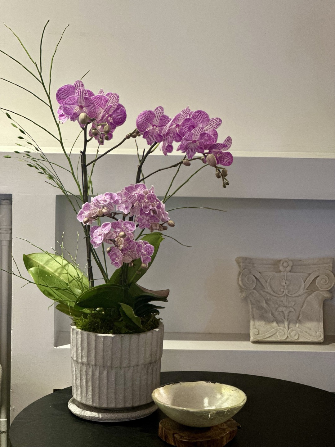 l 사이즈 제품 이미지 7