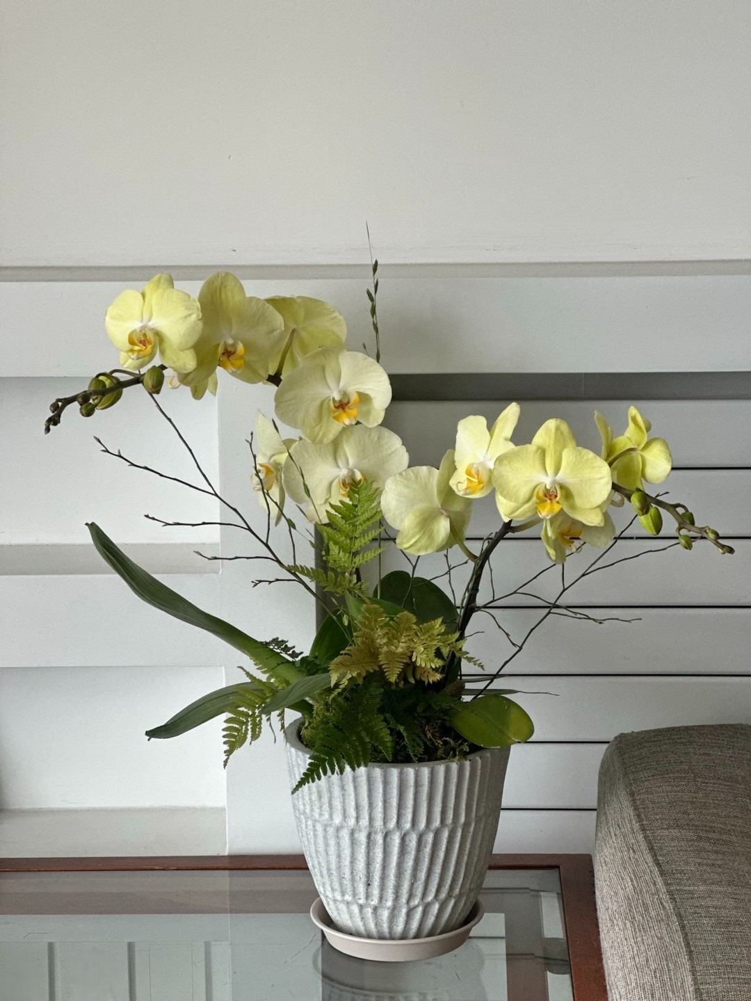Seasonal Orchid (S)